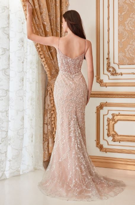FITTED EMBELLISHED NUDE GOWN