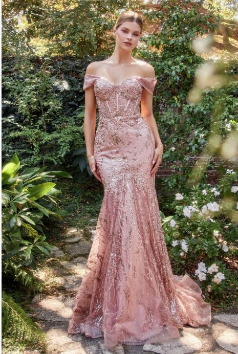 OFF THE SHOULDER LACE FIT AND FLARE GOWN