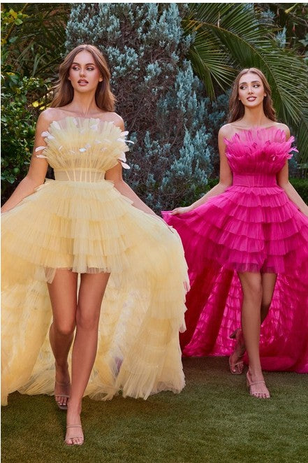 HI-LO RUFFLE TULLE GOWN
