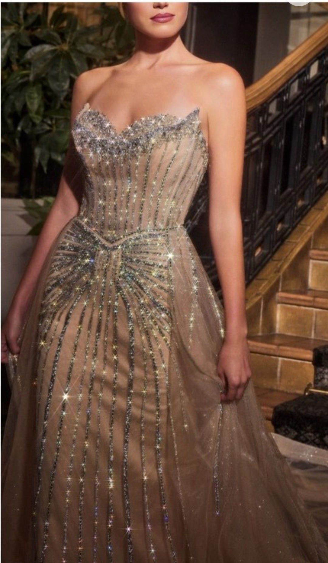 STRAPLESS CRYSTAL EMBELLISHED GOWN WILL OVERLAY