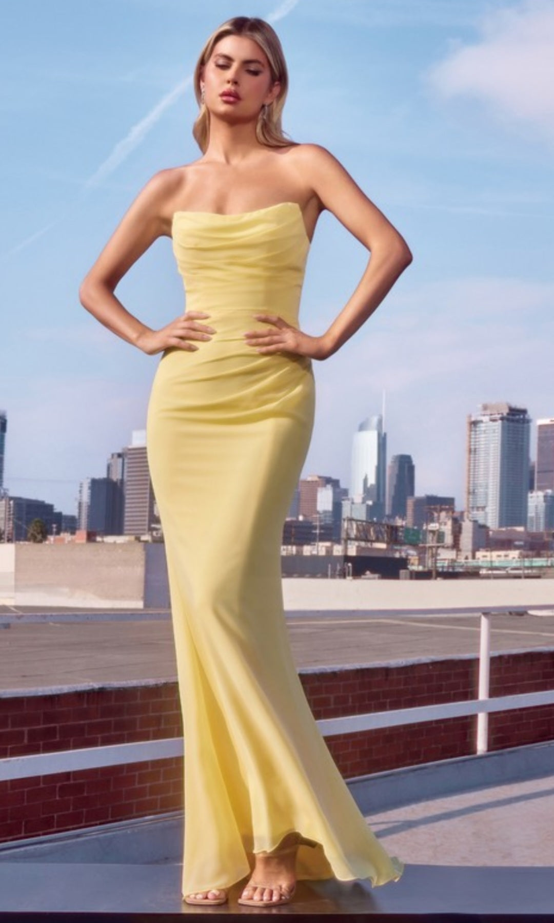 DEMURE DREAM CORSET GOWN