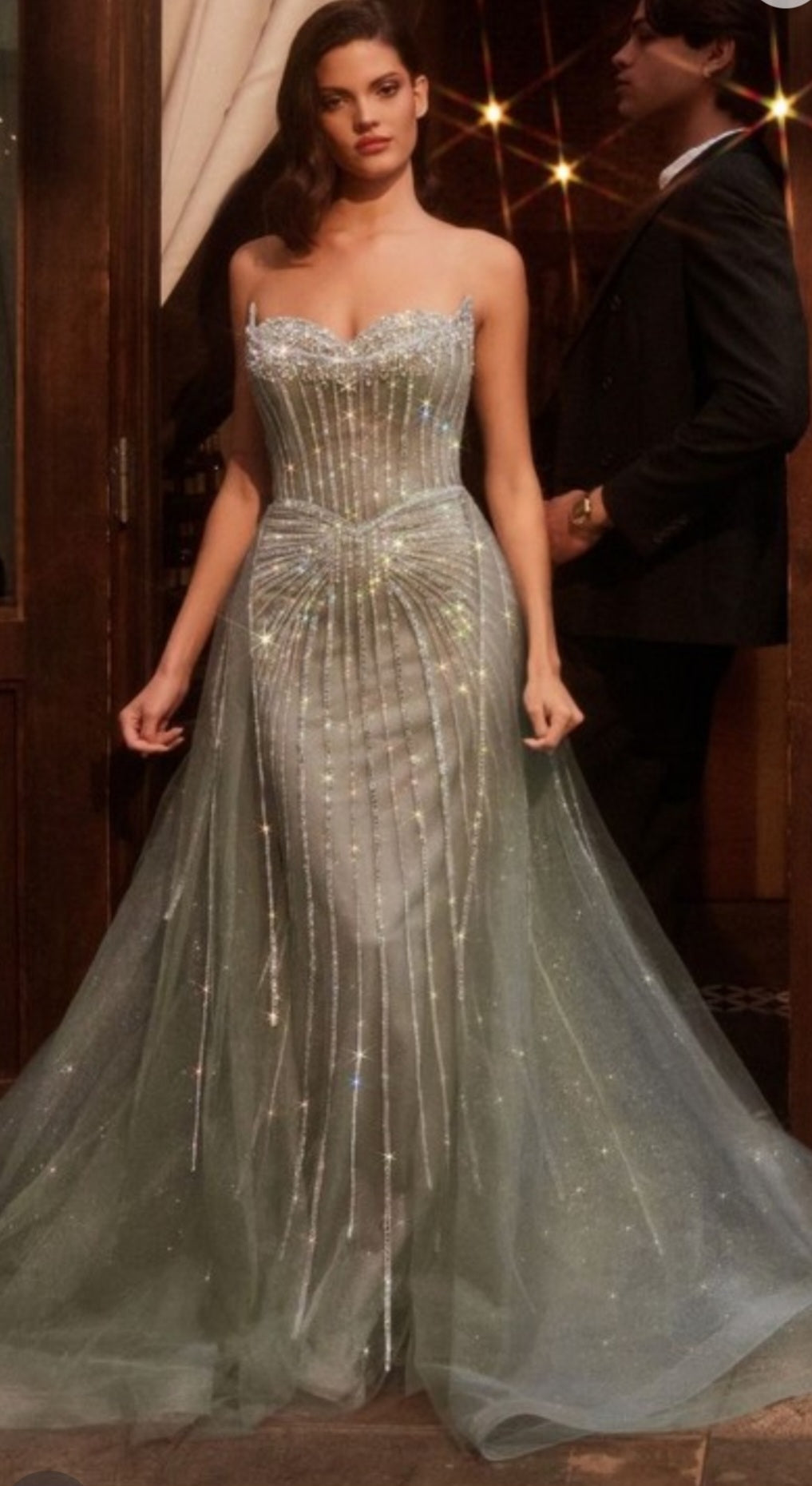 STRAPLESS CRYSTAL EMBELLISHED GOWN WILL OVERLAY