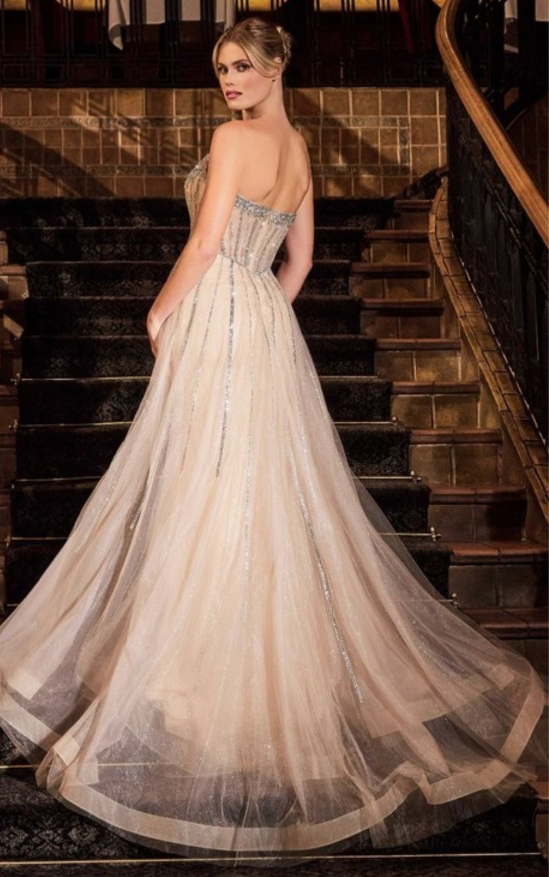STRAPLESS CRYSTAL EMBELLISHED GOWN WILL OVERLAY